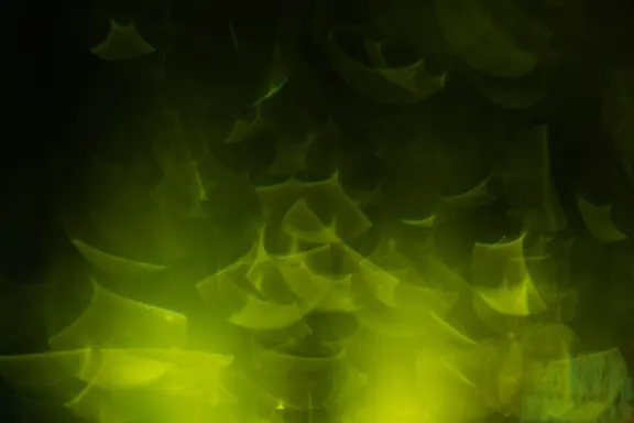 ביליון קזינו תמיכה